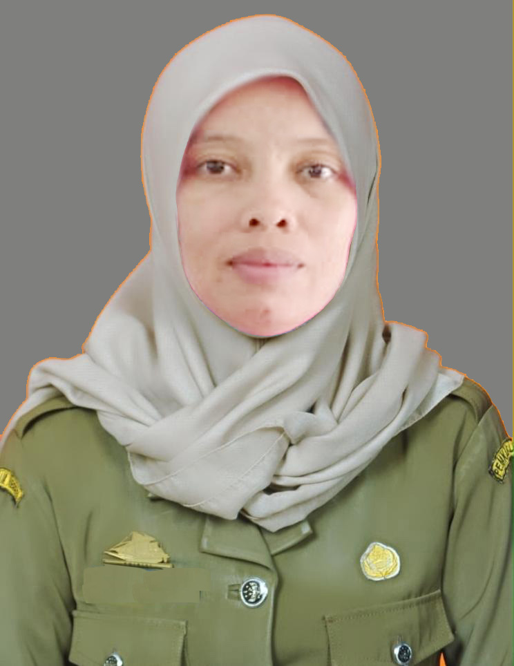 UMMI INSANI BAHARUDDIN, S.Pd.SD